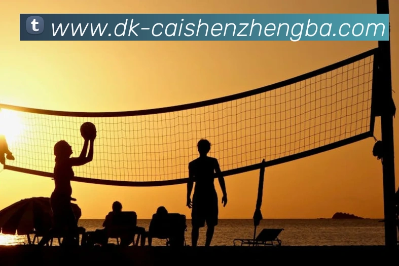 辅助工具 辅助工具